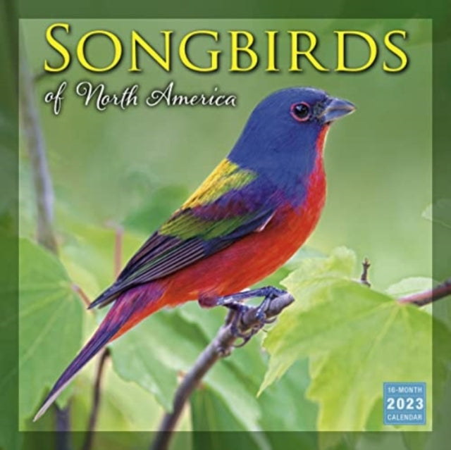 SELLERS PUBLISHING - SONGBIRDS OF NORTH AMERICA - Non-book item