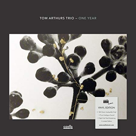 Tom Arthurs Trio - One Year - Vinyl Record