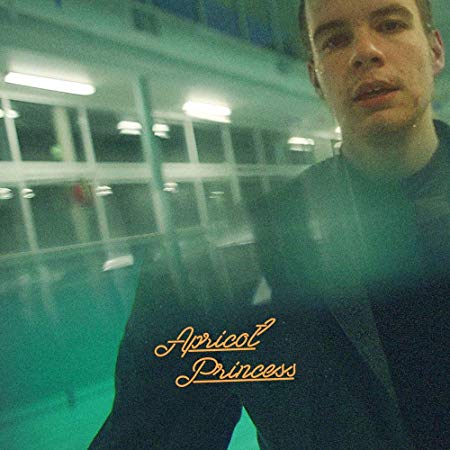 Rex Orange County - Apricot Princess - Vinyl Record