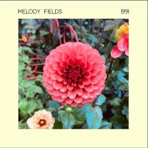 Melody Fields - 1991 - Vinyl Record
