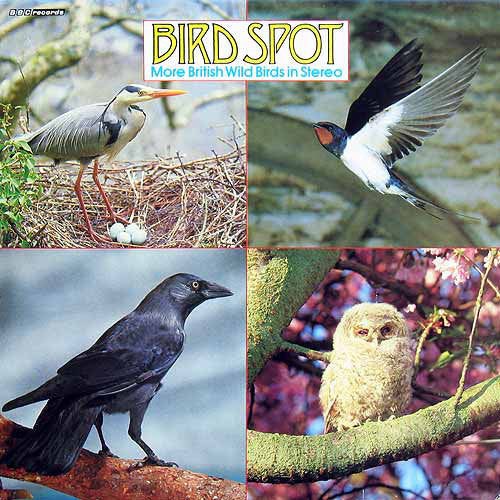 David Tombs - Bird Spot - More British Wild Birds In Stereo - Used V