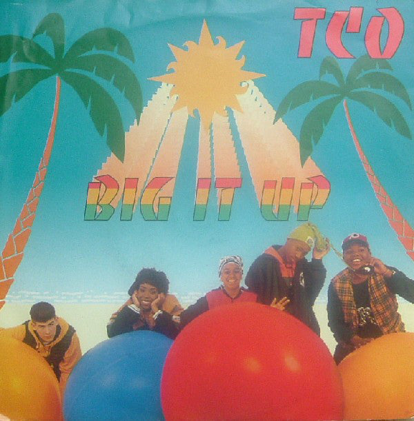 TCO - Big It Up - Used Vinyl Record 7"