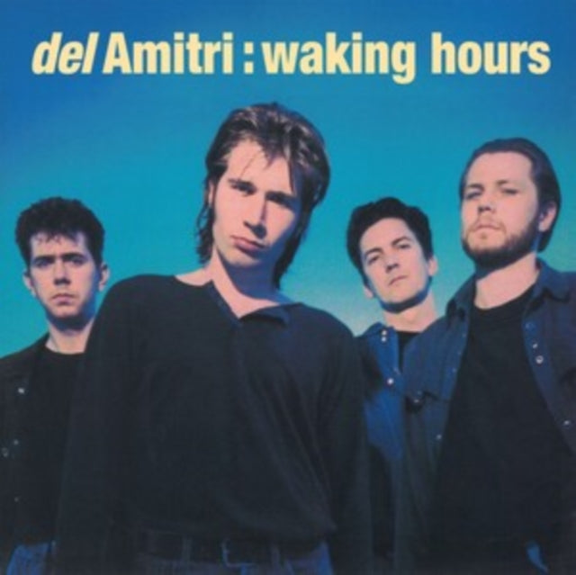 Del Amitri - Waking Hours - Vinyl Record