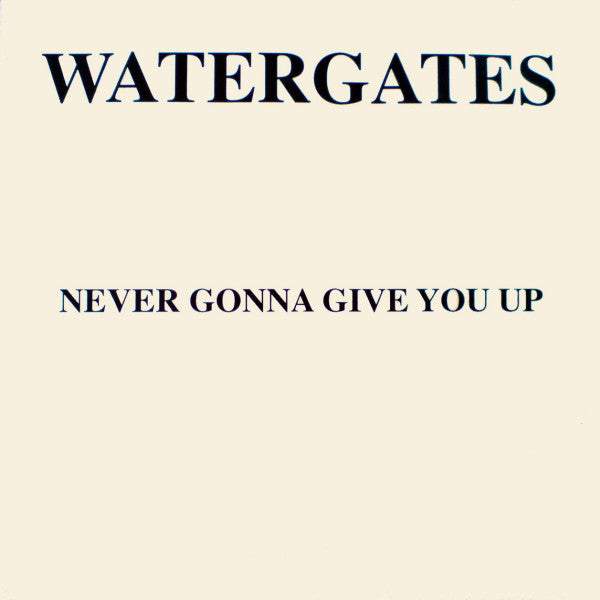 Watergates - Never Gonna Give You Up - Used Vinyl Record 12"
