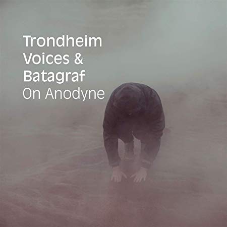 Trondheim Voices - On Anodyne - CD