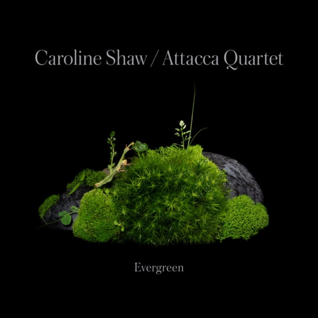 SHAW - CAROLINE : EVERGREEN - CD