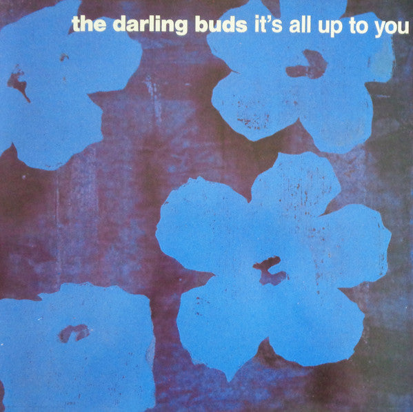 Darling Buds - It's All Up To You - Used Vinyl Record 12"