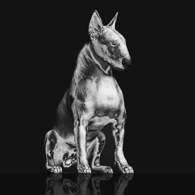 RISKEE & THE RIDICUL - PLATINUM STATUE - Vinyl Record