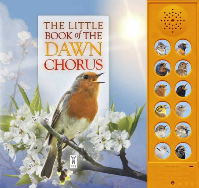 Andrea Pinnington - Little Book of the Dawn Chorus - Board book