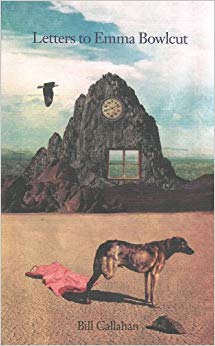 BILL CALLAHAN - LETTERS TO EMMA BOWLCUT - BOOK