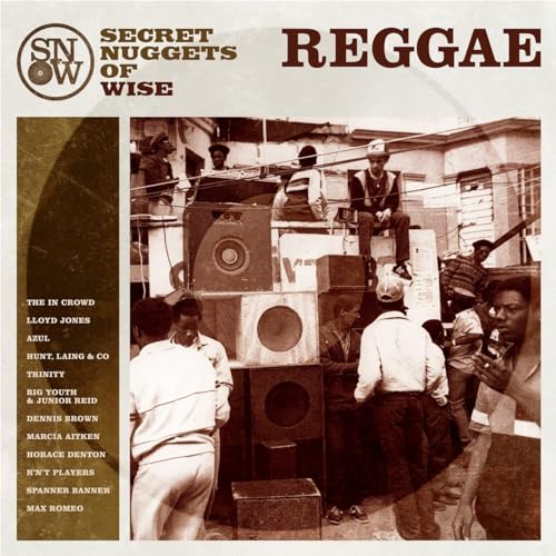 VARIOUS ARTISTS - SECRET NUGGETS OF WISE REGGAE - Vinyl Record 12" REC