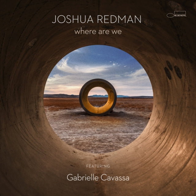 REDMAN - WHERE ARE WE (2LP/180G) - Vinyl Record