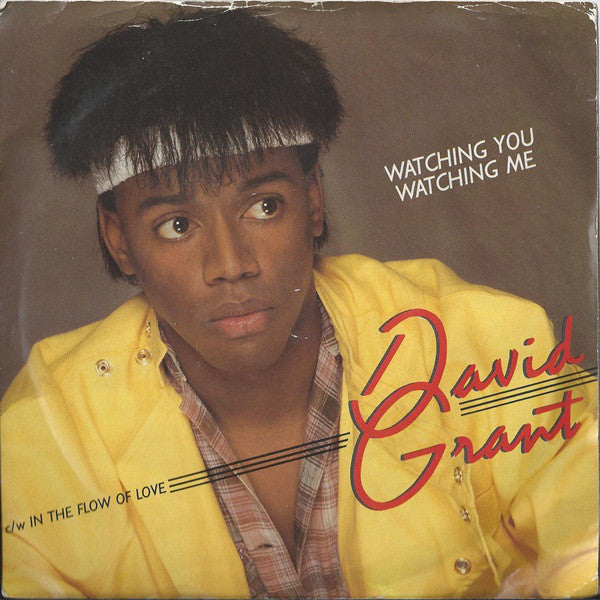 David Grant - Watching You, Watching Me - Used Vinyl Record 7"