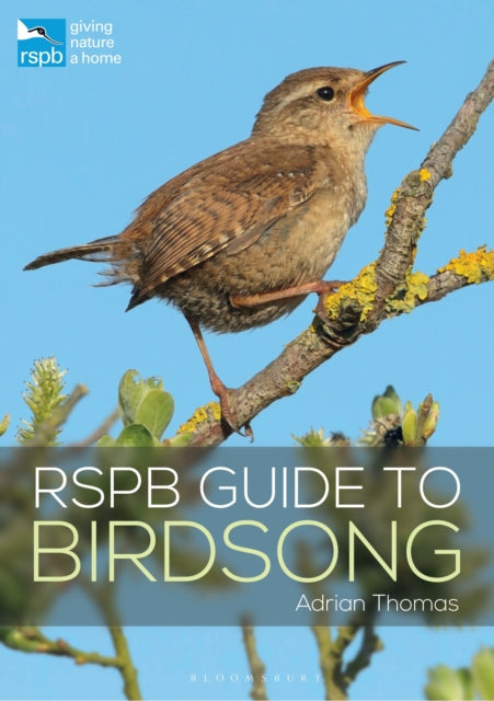 Adrian Thomas - RSPB Guide to Birdsong - New Paperback