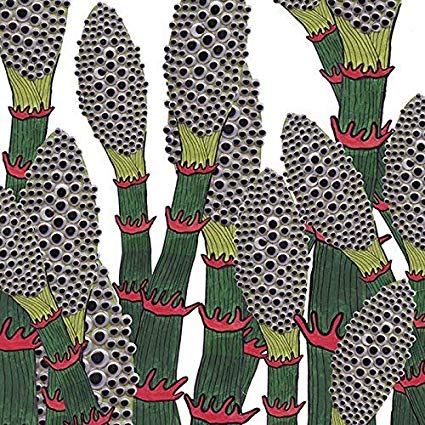 Part Chimp - IV - CD