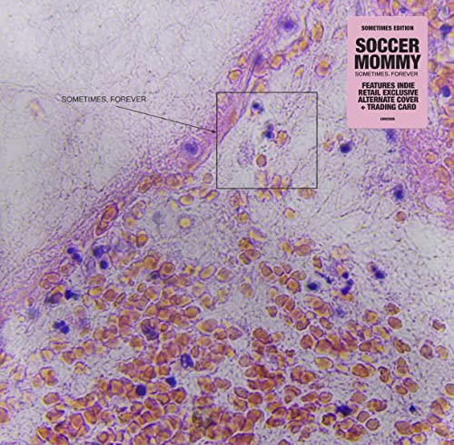 SOCCER MOMMY - Sometimes / Forever (Alternate Cover) (Indies) - CD