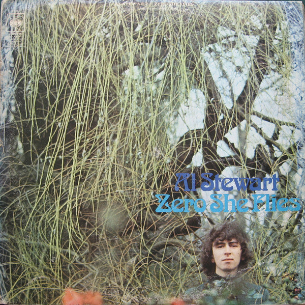 Al Stewart - Zero She Flies - Used Vinyl Record