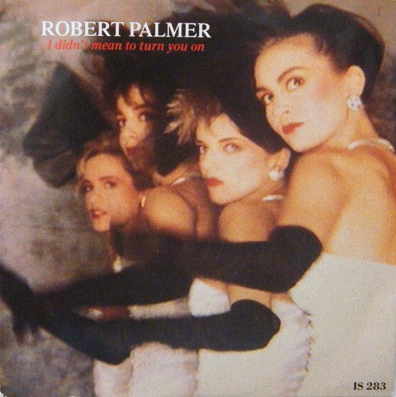 Robert Palmer - I Didn't Mean To Turn You On - Used Vinyl Record 7"
