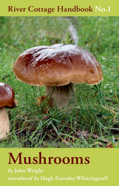 John Wright - Mushrooms : No. 1 - Hardback