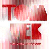 Tom Vek - I Aint Saying My Goodbyes - Used CD