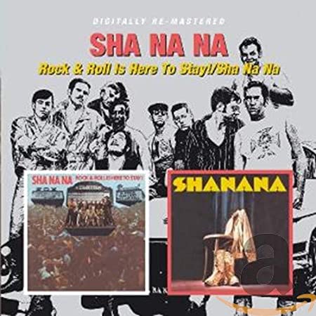 SHA NA NA - ROCK & ROLL IS HERE/ - CD