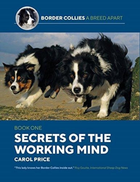Carol Price - Secrets Of The Working Mind : 1 - Paperback