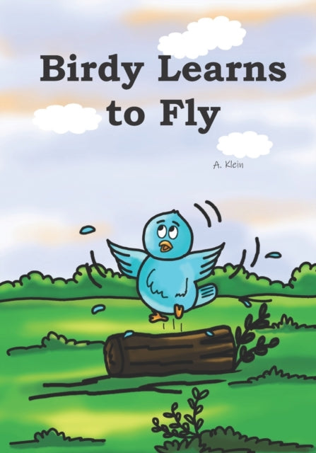 Klein - Birdy Lerns to Fly - New paperback or softback