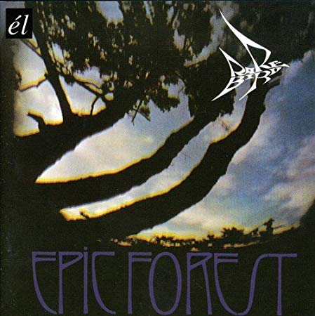 Rare Bird - Epic Forest - CD