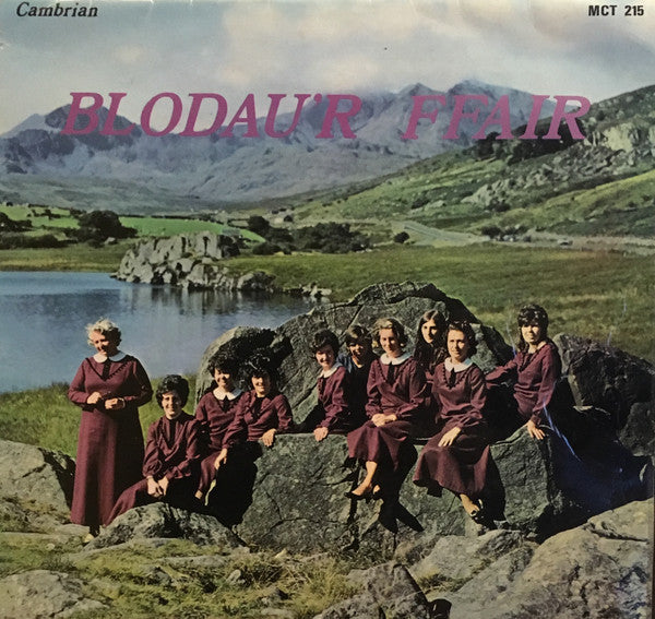 Blodau'r Ffair - Used Vinyl Record