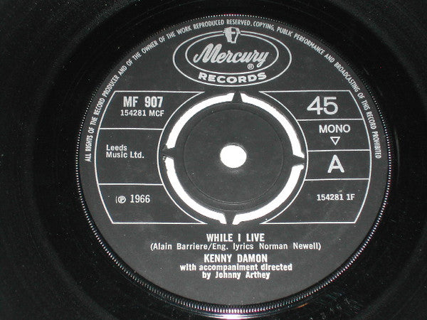 Kenny Damon - While I Live - Used Vinyl Record 7"