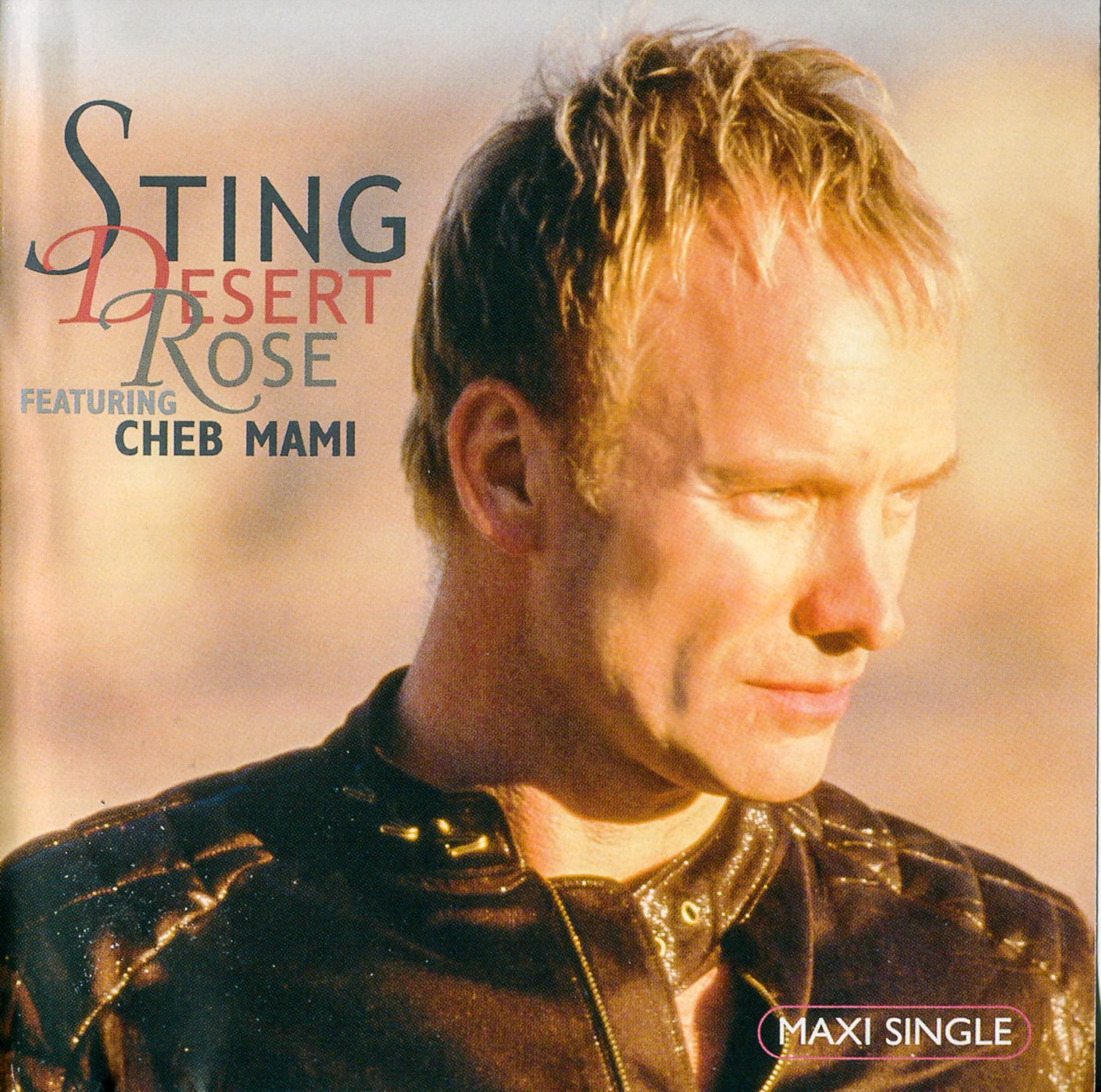 Sting - Desert Rose - Used CD