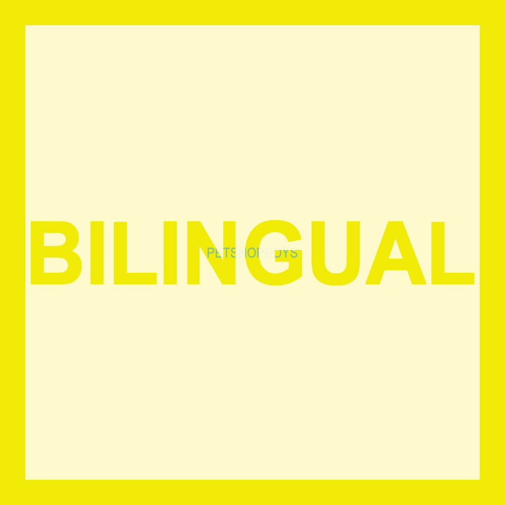 Pet Shop Boys - Bilingual - Used CD