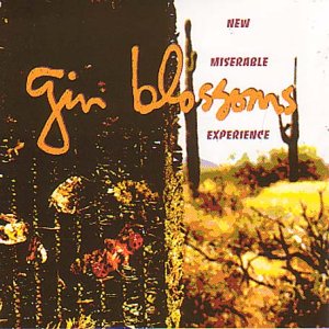Gin Blossoms - New Miserable Experience - Used CD