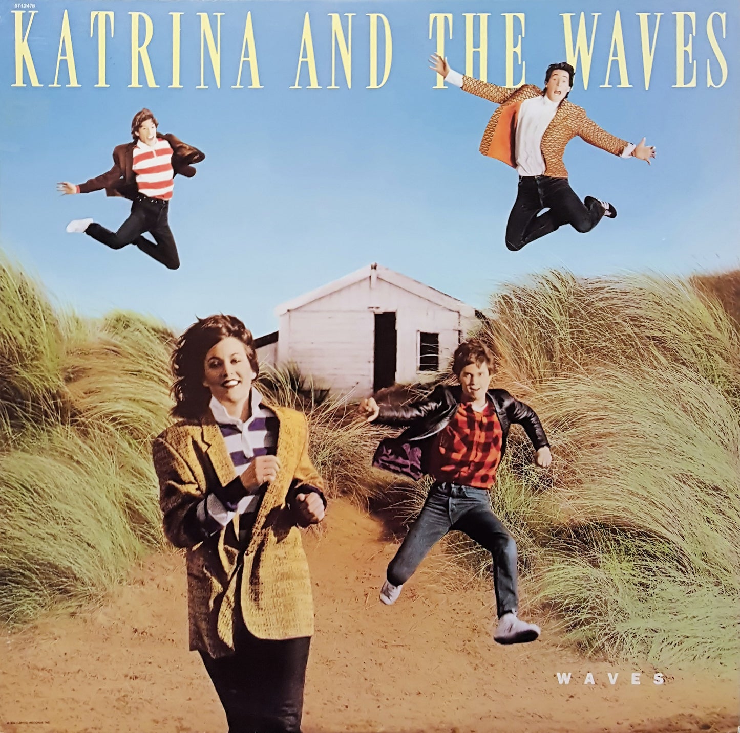 Katrina And The Wave - Waves - Used Vinyl Record