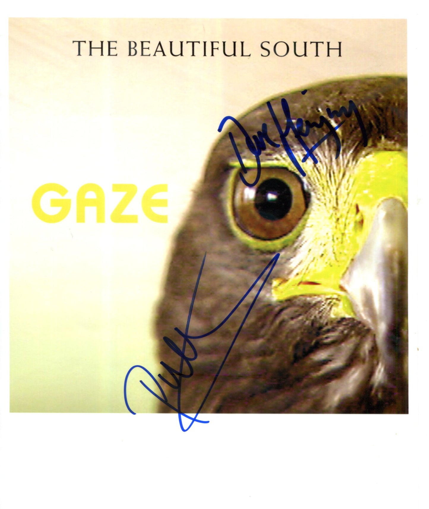 Beautiful South - Signed Photo 10" x 8" - Used autograph