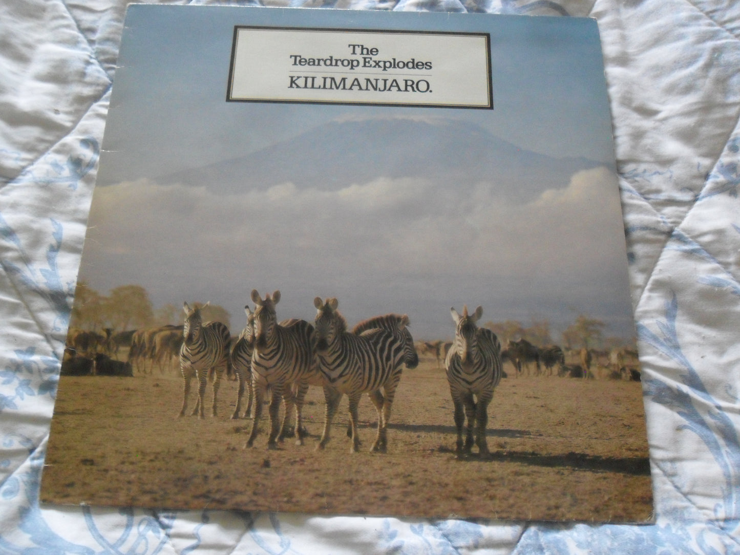 Teardrop Explodes - Kilimanjaro - Used Vinyl Record