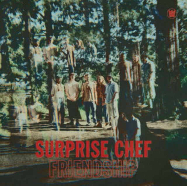Surprise Chef - Friendship - Vinyl Record 12" Coloured Vinyl