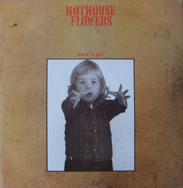 Hothouse Flowers - Don't Go - Used Vinyl Record 12"