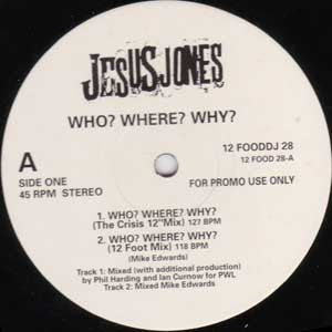 Jesus Jones - Who? Where? Why? - Used Vinyl Record 12"