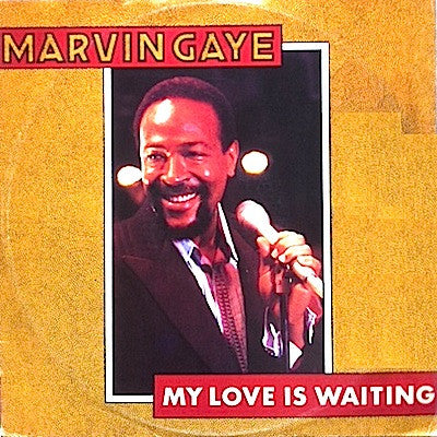 Marvin Gaye - My Love Is Waiting - Used Vinyl Record 12"