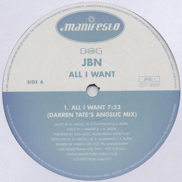 JBN - All I Want - Used Vinyl Record 12"