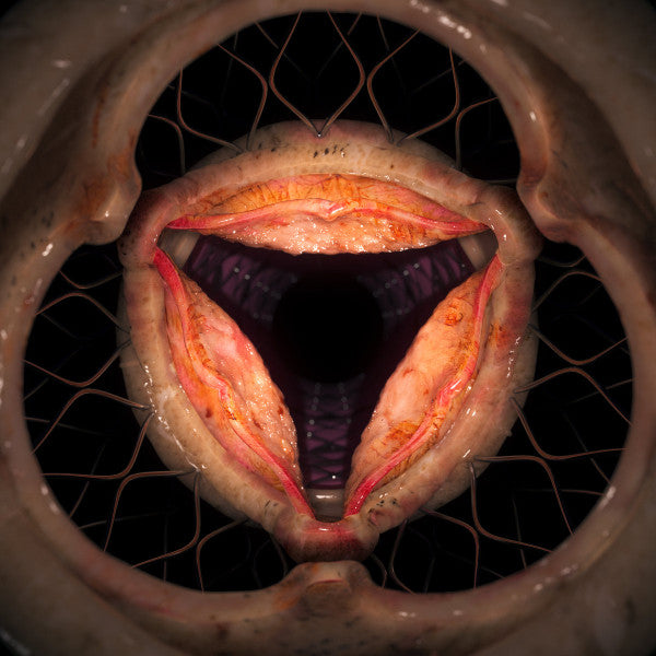 Hyph11E - Aperture - New Vinyl Record 12"