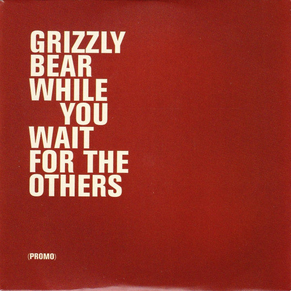 Grizzly Bear - While You Wait For The Others - Used CD