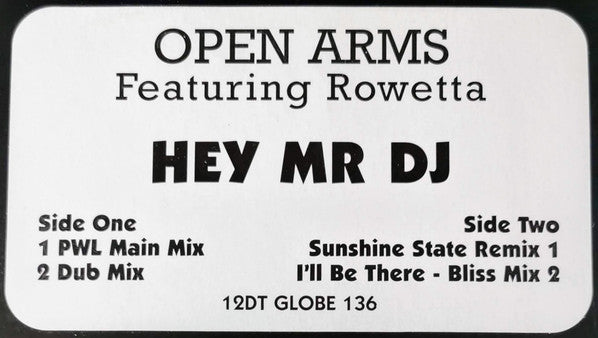 Open Arms - Hey Mr DJ - Used Vinyl Record 12"