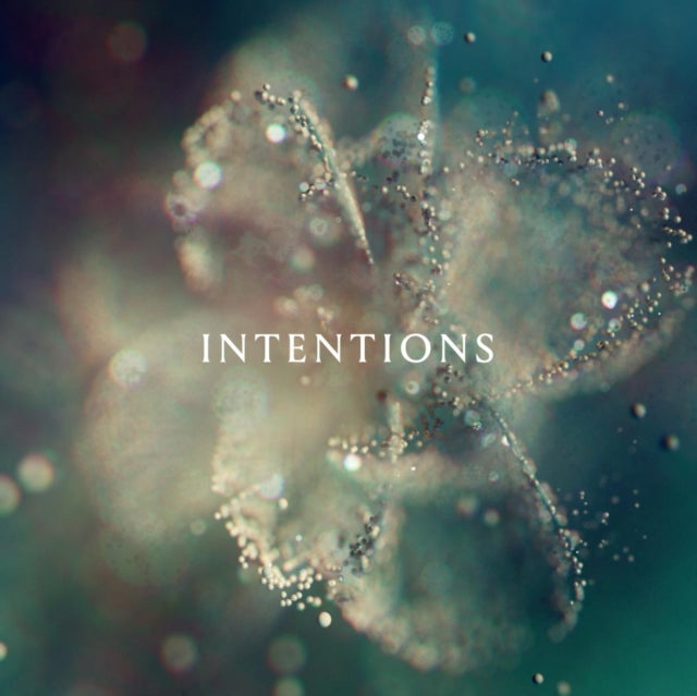 ANNA - Intentions - New Vinyl Record