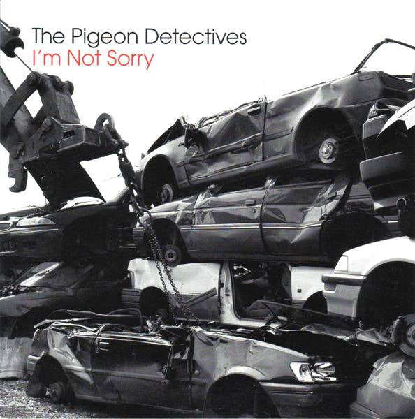 The Pigeon Detective - I'm Not Sorry - Used Vinyl Record 7"