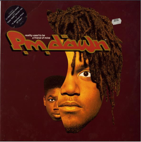 P.M. Dawn - Reality Used To Be A Friend Of Mine - Used Vinyl Record 12"
