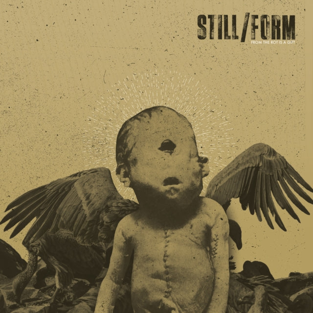 STILL/FORM - - FROM THE ROT IS A GIFT - CD - CD