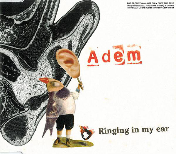 Adem - Ringing In My Ear - New CD