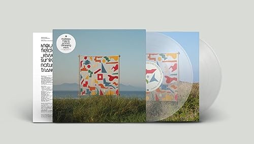 MATTHEW HALSALL - AN EVER CHANGING VIEW (INDIES EXCLUSIVE CLEAR VINYL